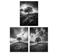 Artery8 Wall Art Print Set of 3 Lone Tree on a Hill Black & White Photographs Countryside Field Landscape Living Room Poster s Pack Artery8 Grey W12" x H16"