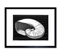 Artery8 Wall Art Print Shell Julie De Graag Art Framed 9x7 inch in Black | Size: W7" x H9" Artery8 Black W7" x H9"
