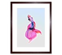 Artery8 Wall Art Print Siamese Fighting Fish Pink Framed in Brown | Size: W7" x H9" Artery8 Brown W7" x H9"