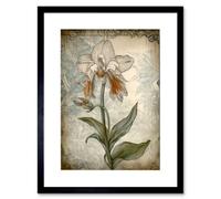 Artery8 Wall Art Print Single Orchid Flower Pastel Colour Art Nouveau Artwork Framed 9X7 Inch