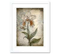 Artery8 Wall Art Print Single Orchid Flower Pastel Colour Art Nouveau Artwork Framed 9X7 Inch in White | Size: W7" x H9" Artery8 White W7" x H9"