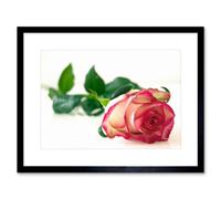 Artery8 Wall Art Print Single Pink Rose Romantic Flower Framed 9X7 Inch