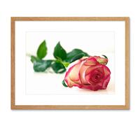 Artery8 Wall Art Print Single Pink Rose Romantic Flower Framed in Beige | Size: W7" x H9" Artery8 Beige W7" x H9"