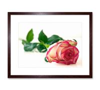 Artery8 Wall Art Print Single Pink Rose Romantic Flower Framed in Brown | Size: W7" x H9" Artery8 Brown W7" x H9"