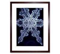 Artery8 Wall Art Print Snowflake Crystal Abstract Art Black Framed 9x7 inch in Brown | Size: W7" x H9" Artery8 Brown W7" x H9"
