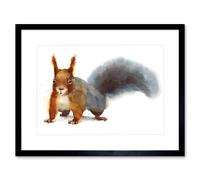 Artery8 Wall Art Print Squirrel Watercolour Cute Art Framed 9x7 inch in Black | Size: W7" x H9" Artery8 Black W7" x H9"