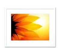 Artery8 Wall Art Print Sunflower Petals Close Up Framed in White | Size: W7" x H9" Artery8 White W7" x H9"