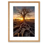 Artery8 Wall Art Print Sunset on Ancient Tree Atmospheric Photograph Large Roots Autumn Artwork Framed 9X7 Inch in Beige | Size: W7" x H9" Artery8 Beige W7" x H9"