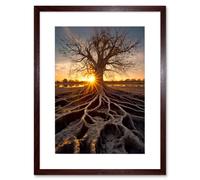 Artery8 Wall Art Print Sunset on Ancient Tree Atmospheric Photograph Large Roots Autumn Artwork Framed 9X7 Inch in Brown | Size: W7" x H9" Artery8 Brown W7" x H9"