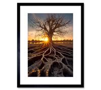 Artery8 Wall Art Print Sunset on Ancient Tree Atmospheric Photograph Large Roots Autumn Artwork Framed 9X7 Inch in Black | Size: W7" x H9" Artery8 Black W7" x H9"