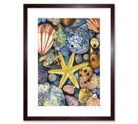 Artery8 Wall Art Print The Rock Pool Seaside Clams Starfish Bathroom Artwork Framed 9X7 Inch in Brown | Size: W7" x H9" Artery8 Brown W7" x H9"