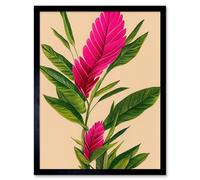 Artery8 Framed Wall Art Tropical Hawaiian Botanical Exotic Pink Floral - 12X16 Inch