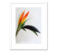 Artery8 Wall Art Print Tropical Plant Bird of Paradise Flower Botanical Bloom Artwork Framed 9X7 Inch in White | Size: W7" x H9" Artery8 White W7" x H9"