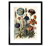Artery8 Vintage Botanical Illustration Ernst Haeckel Inspired Plant Study Modern Watercolour Painting Artwork Framed Wall Art Print 9X7 Inch