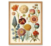 Artery8 Vintage Botanical Illustration Ernst Haeckel Style Plant Study Modern Watercolour Painting Art Print Framed Poster Wall Decor 12x16 inch