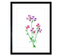 Artery8 Wall Art Print Vintage Bright Botanicals Virginian Stock Framed in Black | Size: W7" x H9" Artery8 Black W7" x H9"