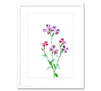 Artery8 Wall Art Print Vintage Bright Botanicals Virginian Stock Framed in White | Size: W7" x H9" Artery8 White W7" x H9"