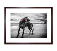 Artery8 Wall Art Print Weimaraner Dog Beach BW Framed in Brown | Size: W7" x H9" Artery8 Brown W7" x H9"