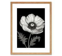 Artery8 Wall Art Print White on Black Single Detailed Anemone Flower Artwork Framed 9X7 Inch in Beige | Size: W7" x H9" Artery8 Beige W7" x H9"
