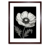 Artery8 Wall Art Print White on Black Single Detailed Anemone Flower Artwork Framed 9X7 Inch in Brown | Size: W7" x H9" Artery8 Brown W7" x H9"
