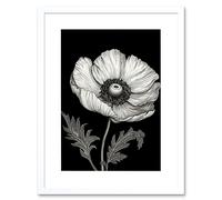 Artery8 Wall Art Print White on Black Single Detailed Anemone Flower Artwork Framed 9X7 Inch | Size: W7" x H9" Artery8 White W7" x H9"