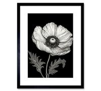 Artery8 Wall Art Print White on Black Single Detailed Anemone Flower Artwork Framed 9X7 Inch | Size: W7" x H9" Artery8 Black W7" x H9"
