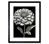 Artery8 Wall Art Print Zinnia Flower Bloom Black And White Artwork Framed 9X7 Inch