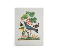 Artery8 Warbler Bird & Red Admiral Butterfly Bolton Canvas Wall Art in White | Size: W18" x H24" Artery8 White W18" x H24"