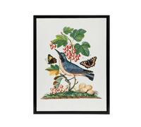 Artery8 Warbler Bird & Red Admiral Butterfly Bolton Framed Canvas Wall Art in White | Size: W18" x H24" Artery8 White W18" x H24"