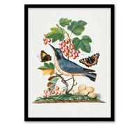 Artery8 Warbler Bird And Red Admiral Butterfly Bolton Framed Wall Art Print 12X16"