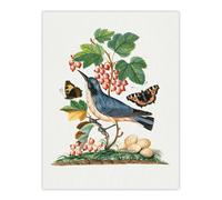 Artery8 Warbler Bird & Red Admiral Butterfly Bolton Wall Art Poster Print in White | Size: W24" x H32" Artery8 White W24" x H32"