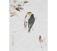 Artery8 Watanabe Seitei Birds On Branch Drawing Large Wall Art Poster Print Thick Paper 18X24 Inch