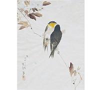 Artery8 Watanabe Seitei Birds On Branch Drawing Unframed Wall Art Print Poster Home Decor Premium