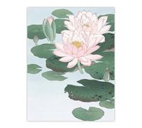 Artery8 Water Lily Pads Pink Flower Bloom Japanese Wall Art Print Koson | Size: W12" x H16" Artery8 Pink W12" x H16"