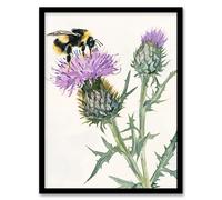 Artery8 Watercolour Bumblebee on Scottish Thistle Flower Framed Wall Art in Green | Size: A4 Artery8 Green A4