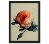 Artery8 Watercolour Pink Rose Flower Romantic Artwork Framed Wall Art Print A4 in Black Artery8 Black