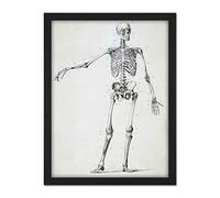 Artery8 Weissenbruch Human Frame Skeleton Bones Drawing Artwork Framed Wall Art Print 18X24 Inch