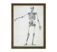 Artery8 Weissenbruch Human Frame Skeleton Bones Drawing Artwork Framed Wall Art Print 18X24 Inch