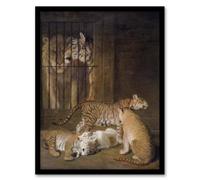 Artery8 Whelps Lion & Tigress in Zoo Cage Agasse Framed Wall Art Print in Brown | Size: A4 Artery8 Brown A4
