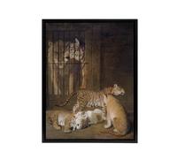 Artery8 Whelps Lion & Tigress in Zoo Cage Agasse Black Framed Canvas Art in Brown | Size: W24" x H32" Artery8 Brown W24" x H32"