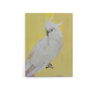 Artery8 White Cockatoo Parrot Bird Canvas Wall Art Print in Yellow | Size: W12" x H16" Artery8 Yellow W12" x H16"