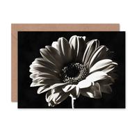 Artery8 White Gerbera Flower Bloom Photo Birthday Card Artery8 Multicolor