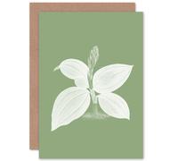 Artery8 White & Green Exotic Flora Greetings Card Artery8 Green