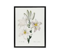 Artery8 White Lily Botanical Redoute Vintage Black Framed Canvas Wall Art | Size: W12" x H16" Artery8 White W12" x H16"