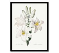 Artery8 White Lily Botanical Wall Art Print Framed Poster 12x16 inch Artwork By Redoute : Pure White Bloom Study Bringing Serenity And Elegance To Bedroom Or Hallway