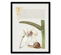Artery8 White Lily Snail And Sweet Flag Calligraphy Framed Wall Art Print 12X16"