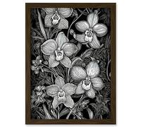 Artery8 White on Black Blooming Orchid Flower Plants Artwork Framed A3 Wall Art Print