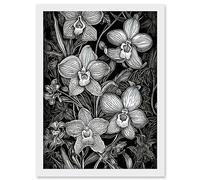 Artery8 White on Black Blooming Orchid Flower Plants Artwork Framed A3 Wall Art Print