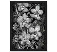 Artery8 White on Black Blooming Orchid Flower Plants Artwork Framed A3 Wall Art Print
