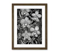 Artery8 White on Black Blooming Orchid Flower Plants Artwork Framed Wall Art Print 18X24 Inch